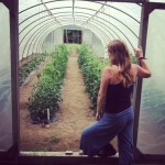 Greenhouse