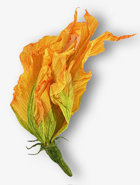 Paper Flower Making Workshop with Anneli Skaar