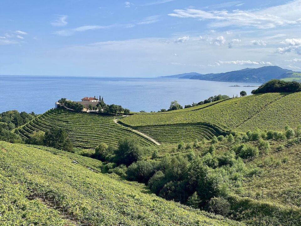 Savoring the Basque Way in San Sebastian: A Nourishing Journey of Food, Culture & Connection