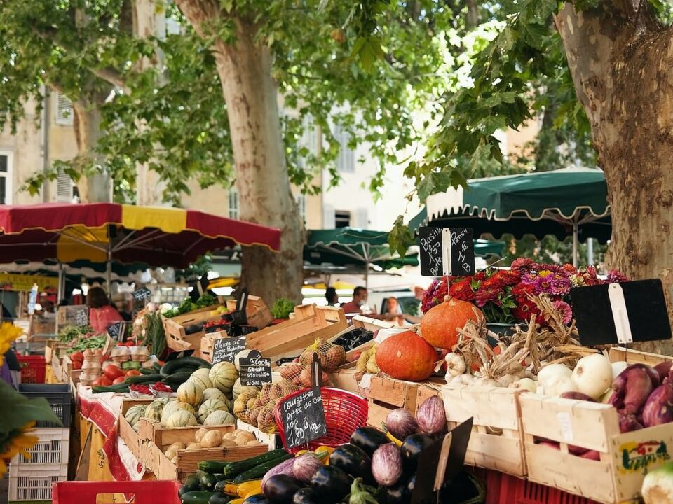 A Taste of Provence: Where Art, Wine and Table Meet