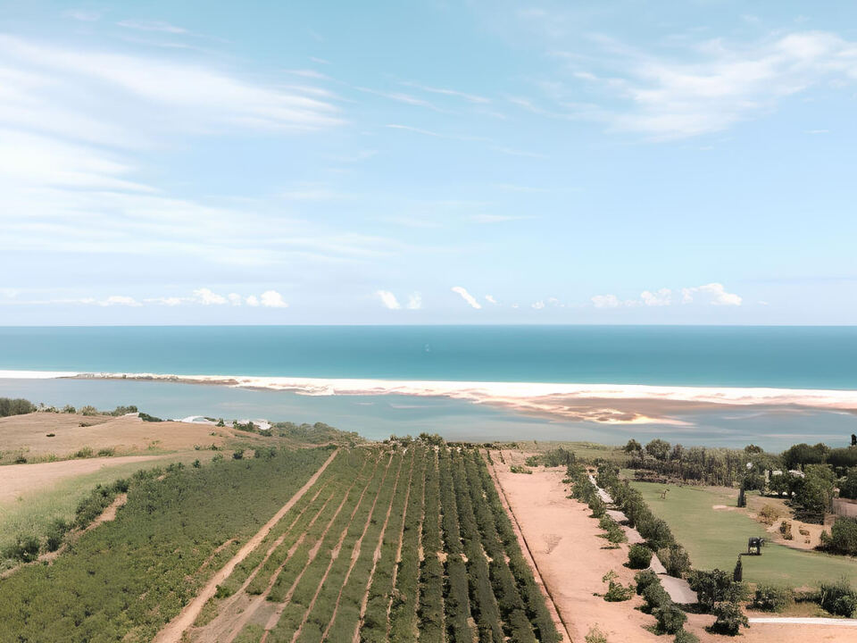 A Movable Feast Throughout Portugal’s Land and Seascape