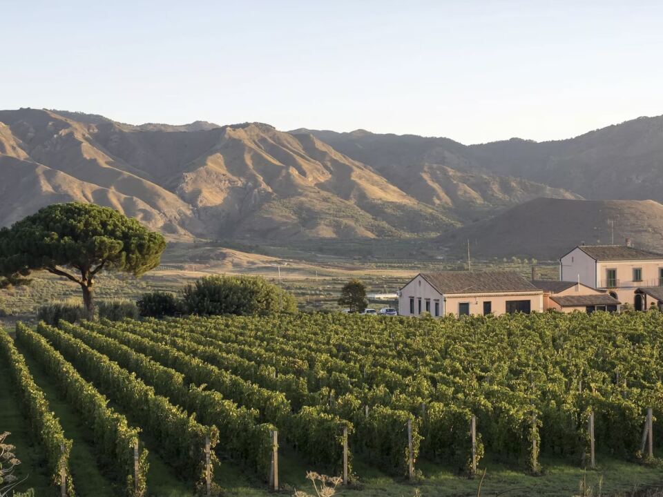 Tasting Sicily : An Etna Culinary Retreat – Wine, Terroir & Sicilian Traditions