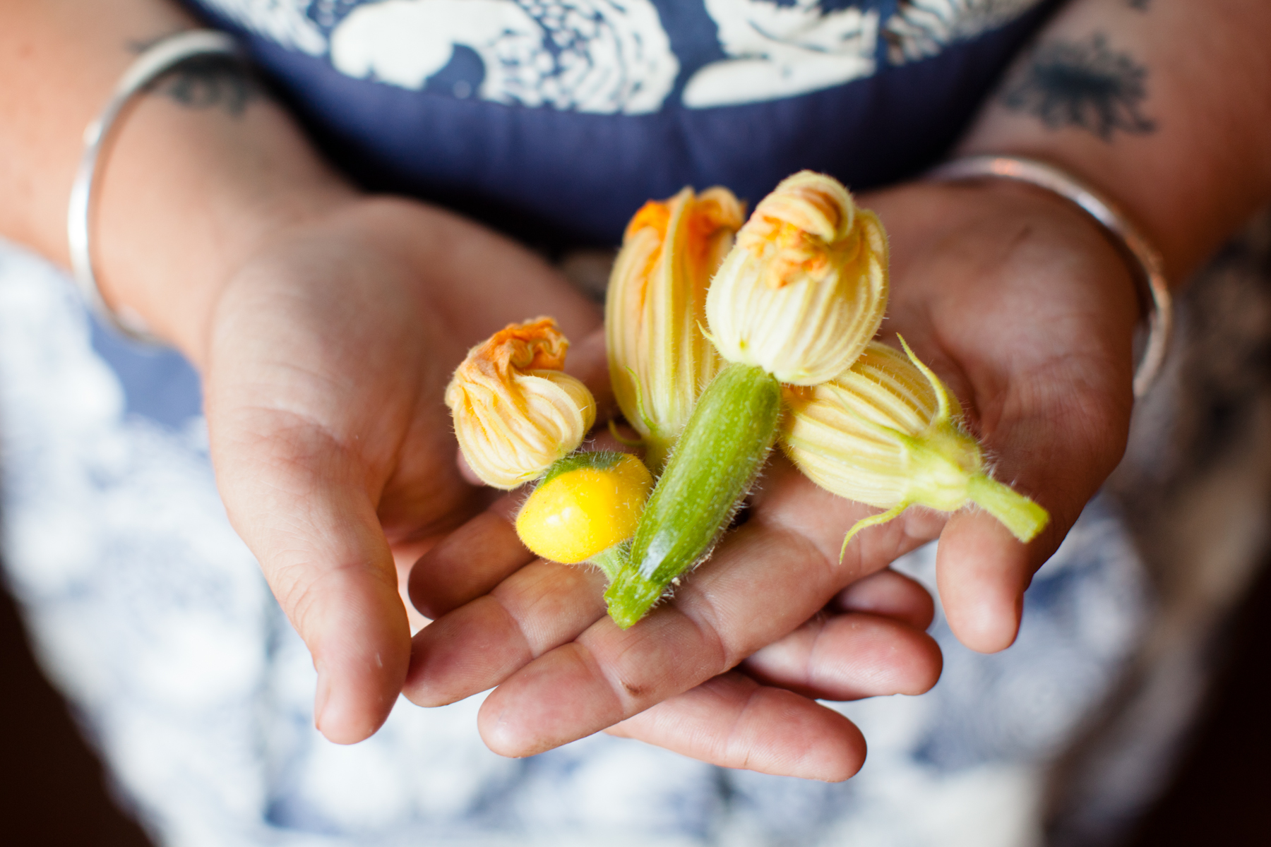 Squash Blossoms